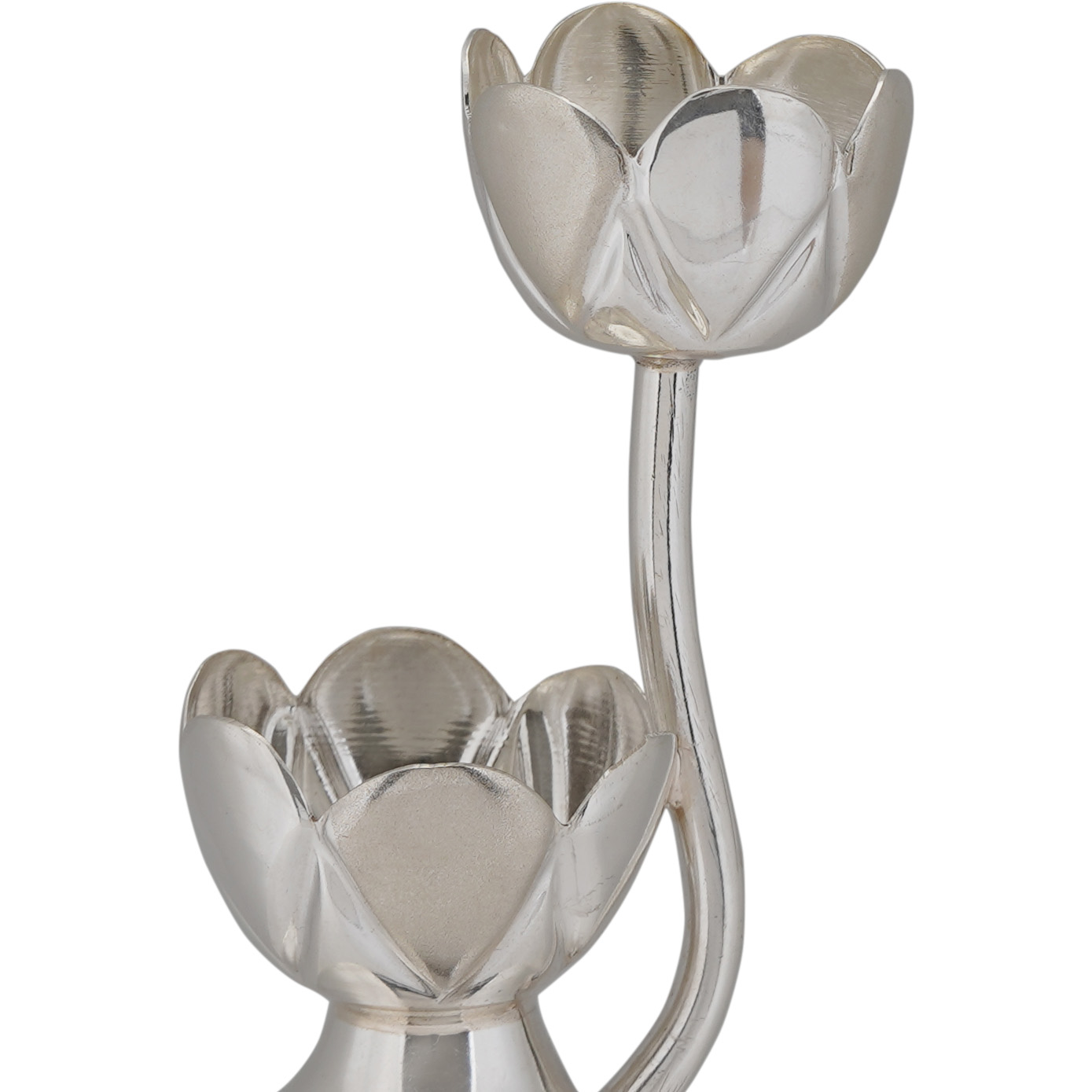 Tulip Stand